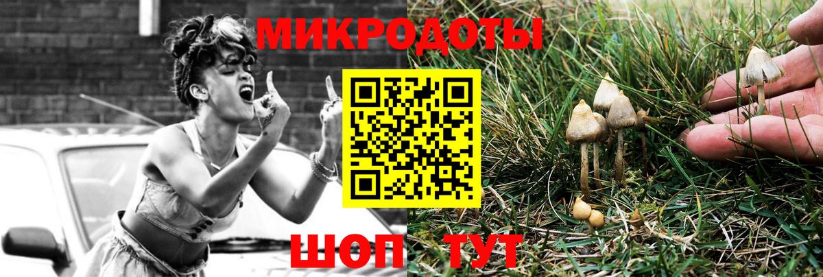 Галлюциногенные грибы Magic Shrooms Орск
